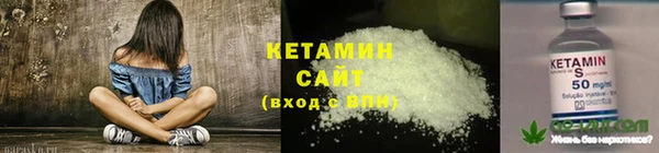 кокс Арсеньев