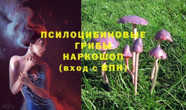 бошки Армянск