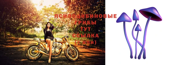 кокс Арсеньев
