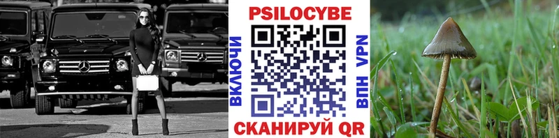 Псилоцибиновые грибы мицелий  Безенчук 